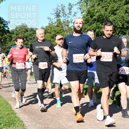 27.09.2026 - 35. Volkslauf durch das schöne Alstertal Dr. Thomas Lammeyer http://msf.ph/oto/10563039 27.09.2026 10:25:43 Laufen 12327, 229924, 2011, 45, 2010, 2300, 2322 meine-sportfotos.de