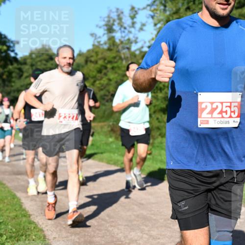 27.09.2026 - 35. Volkslauf durch das schöne Alstertal Dr. Thomas Lammeyer http://msf.ph/oto/10563056 27.09.2026 10:25:45 Laufen 4324, 123211, 2255 meine-sportfotos.de