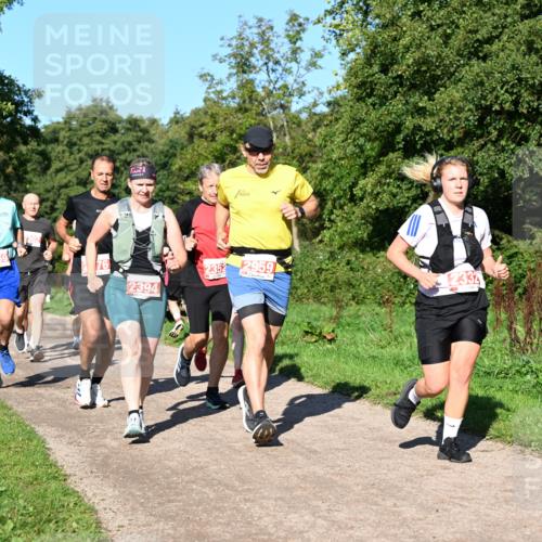 27.09.2026 - 35. Volkslauf durch das schöne Alstertal Dr. Thomas Lammeyer http://msf.ph/oto/10563074 27.09.2026 10:25:48 Laufen 2352, 2959, 2394 meine-sportfotos.de