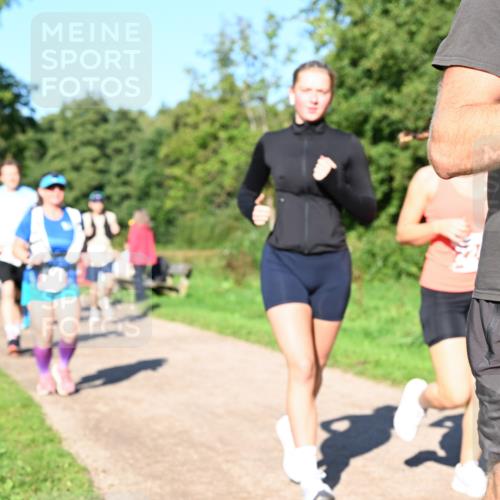 27.09.2026 - 35. Volkslauf durch das schöne Alstertal Dr. Thomas Lammeyer http://msf.ph/oto/10563096 27.09.2026 10:25:53 Laufen  meine-sportfotos.de