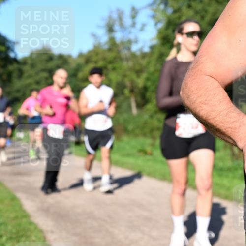 27.09.2026 - 35. Volkslauf durch das schöne Alstertal Dr. Thomas Lammeyer http://msf.ph/oto/10563161 27.09.2026 10:26:05 Laufen  meine-sportfotos.de