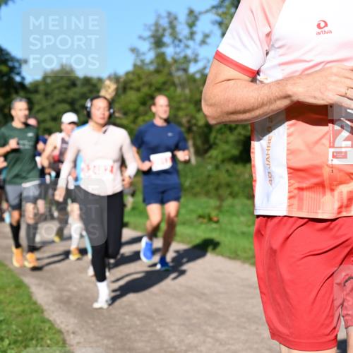 27.09.2026 - 35. Volkslauf durch das schöne Alstertal Dr. Thomas Lammeyer http://msf.ph/oto/10563201 27.09.2026 10:26:11 Laufen 40 meine-sportfotos.de