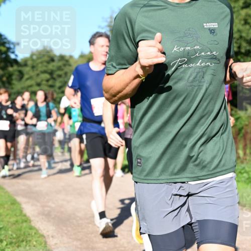 27.09.2026 - 35. Volkslauf durch das schöne Alstertal Dr. Thomas Lammeyer http://msf.ph/oto/10563214 27.09.2026 10:26:14 Laufen 35 meine-sportfotos.de