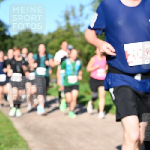 27.09.2026 - 35. Volkslauf durch das schöne Alstertal Dr. Thomas Lammeyer http://msf.ph/oto/10563221 27.09.2026 10:26:15 Laufen 2062 meine-sportfotos.de