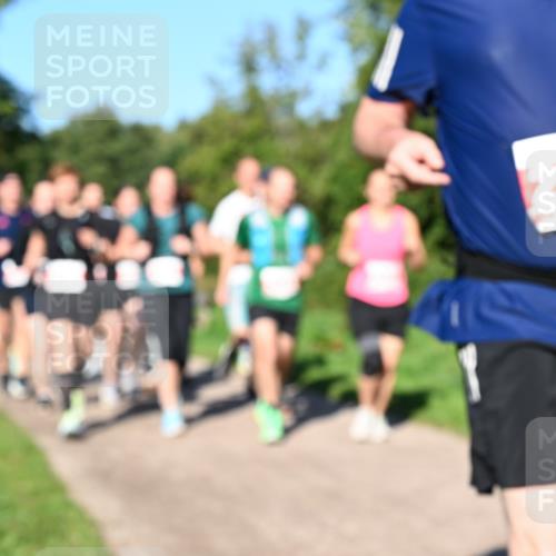27.09.2026 - 35. Volkslauf durch das schöne Alstertal Dr. Thomas Lammeyer http://msf.ph/oto/10563222 27.09.2026 10:26:16 Laufen  meine-sportfotos.de