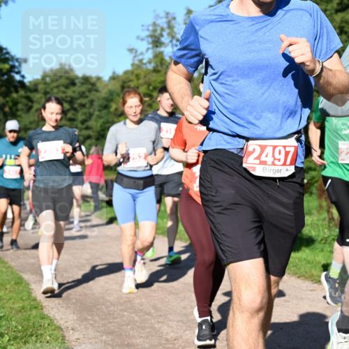 27.09.2026 - 35. Volkslauf durch das schöne Alstertal Dr. Thomas Lammeyer http://msf.ph/oto/10563253 27.09.2026 10:26:21 Laufen 2497 meine-sportfotos.de
