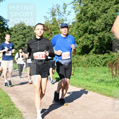 27.09.2026 - 35. Volkslauf durch das schöne Alstertal Dr. Thomas Lammeyer http://msf.ph/oto/10563310 27.09.2026 10:26:31 Laufen  meine-sportfotos.de