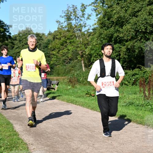 27.09.2026 - 35. Volkslauf durch das schöne Alstertal Dr. Thomas Lammeyer http://msf.ph/oto/10563333 27.09.2026 10:26:34 Laufen 338, 2386, 2170, 2169, 2956 meine-sportfotos.de