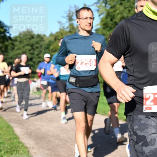 27.09.2026 - 35. Volkslauf durch das schöne Alstertal Dr. Thomas Lammeyer http://msf.ph/oto/10563363 27.09.2026 10:26:39 Laufen 2259, 2170 meine-sportfotos.de