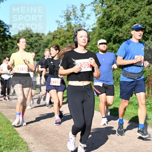 27.09.2026 - 35. Volkslauf durch das schöne Alstertal Dr. Thomas Lammeyer http://msf.ph/oto/10563378 27.09.2026 10:26:42 Laufen  meine-sportfotos.de