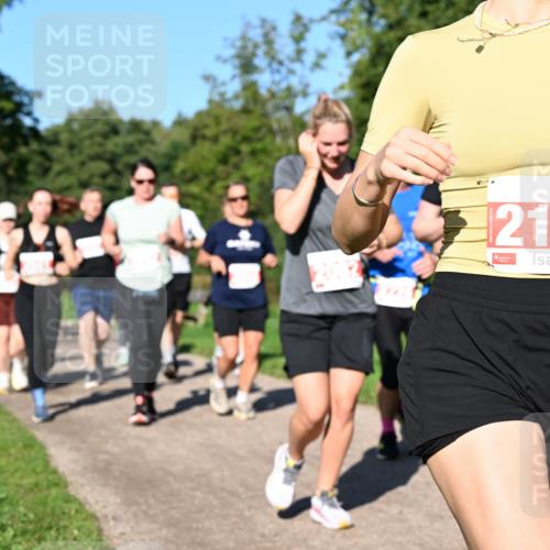 27.09.2026 - 35. Volkslauf durch das schöne Alstertal Dr. Thomas Lammeyer http://msf.ph/oto/10563391 27.09.2026 10:26:44 Laufen 2155 meine-sportfotos.de