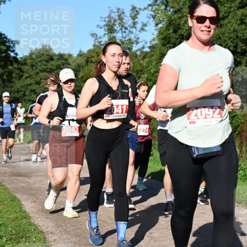 27.09.2026 - 35. Volkslauf durch das schöne Alstertal Dr. Thomas Lammeyer http://msf.ph/oto/10563406 27.09.2026 10:26:47 Laufen 2042, 2041, 2274, 2092, 20 meine-sportfotos.de