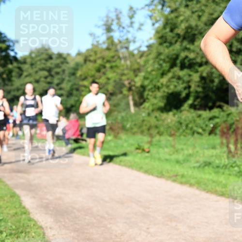 27.09.2026 - 35. Volkslauf durch das schöne Alstertal Dr. Thomas Lammeyer http://msf.ph/oto/10563438 27.09.2026 10:26:52 Laufen  meine-sportfotos.de
