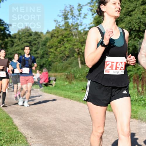 27.09.2026 - 35. Volkslauf durch das schöne Alstertal Dr. Thomas Lammeyer http://msf.ph/oto/10563466 27.09.2026 10:26:56 Laufen 2199, 220 meine-sportfotos.de