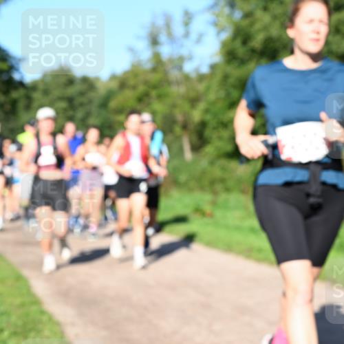 27.09.2026 - 35. Volkslauf durch das schöne Alstertal Dr. Thomas Lammeyer http://msf.ph/oto/10563493 27.09.2026 10:27:01 Laufen  meine-sportfotos.de