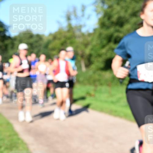 27.09.2026 - 35. Volkslauf durch das schöne Alstertal Dr. Thomas Lammeyer http://msf.ph/oto/10563494 27.09.2026 10:27:01 Laufen  meine-sportfotos.de