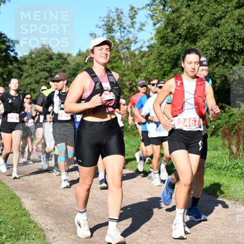 27.09.2026 - 35. Volkslauf durch das schöne Alstertal Dr. Thomas Lammeyer http://msf.ph/oto/10563504 27.09.2026 10:27:02 Laufen  meine-sportfotos.de