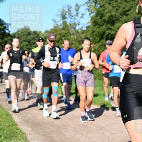 27.09.2026 - 35. Volkslauf durch das schöne Alstertal Dr. Thomas Lammeyer http://msf.ph/oto/10563509 27.09.2026 10:27:03 Laufen  meine-sportfotos.de