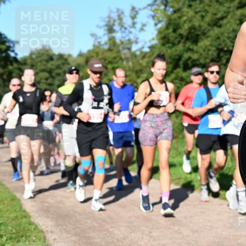 27.09.2026 - 35. Volkslauf durch das schöne Alstertal Dr. Thomas Lammeyer http://msf.ph/oto/10563510 27.09.2026 10:27:04 Laufen  meine-sportfotos.de