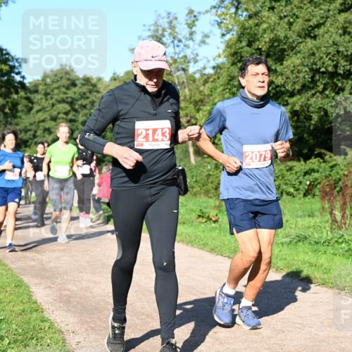 27.09.2026 - 35. Volkslauf durch das schöne Alstertal Dr. Thomas Lammeyer http://msf.ph/oto/10563537 27.09.2026 10:27:08 Laufen 2143, 2079 meine-sportfotos.de