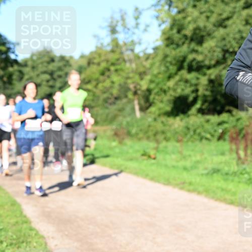 27.09.2026 - 35. Volkslauf durch das schöne Alstertal Dr. Thomas Lammeyer http://msf.ph/oto/10563547 27.09.2026 10:27:10 Laufen  meine-sportfotos.de