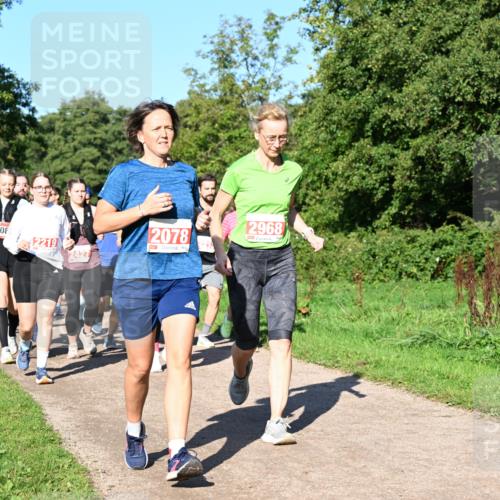 27.09.2026 - 35. Volkslauf durch das schöne Alstertal Dr. Thomas Lammeyer http://msf.ph/oto/10563557 27.09.2026 10:27:11 Laufen 2078, 12968, 108, 12219, 2427 meine-sportfotos.de