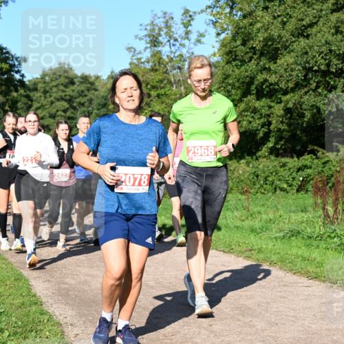 27.09.2026 - 35. Volkslauf durch das schöne Alstertal Dr. Thomas Lammeyer http://msf.ph/oto/10563559 27.09.2026 10:27:12 Laufen 10, 2078, 2968 meine-sportfotos.de