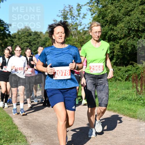 27.09.2026 - 35. Volkslauf durch das schöne Alstertal Dr. Thomas Lammeyer http://msf.ph/oto/10563561 27.09.2026 10:27:12 Laufen 10, 2219, 2078, 2968 meine-sportfotos.de