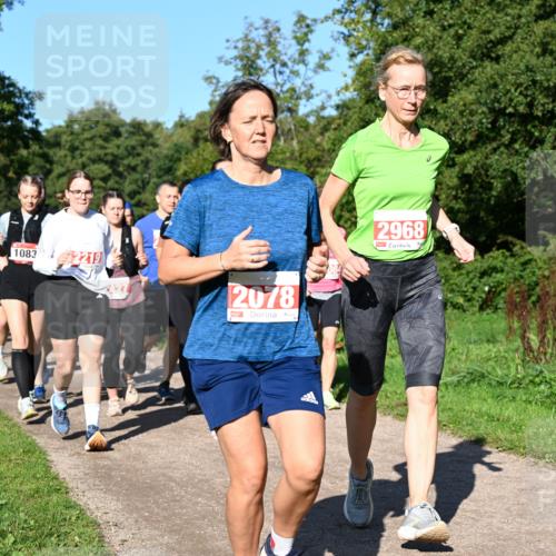 27.09.2026 - 35. Volkslauf durch das schöne Alstertal Dr. Thomas Lammeyer http://msf.ph/oto/10563562 27.09.2026 10:27:12 Laufen 1083, 2219, 2078, 2968 meine-sportfotos.de