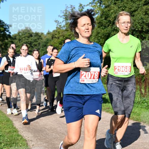 27.09.2026 - 35. Volkslauf durch das schöne Alstertal Dr. Thomas Lammeyer http://msf.ph/oto/10563564 27.09.2026 10:27:12 Laufen 108, 2078, 2968 meine-sportfotos.de