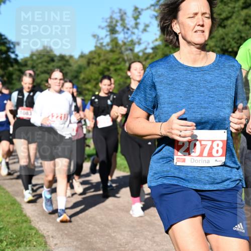 27.09.2026 - 35. Volkslauf durch das schöne Alstertal Dr. Thomas Lammeyer http://msf.ph/oto/10563566 27.09.2026 10:27:13 Laufen 2078, 2968 meine-sportfotos.de