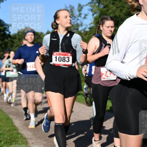 27.09.2026 - 35. Volkslauf durch das schöne Alstertal Dr. Thomas Lammeyer http://msf.ph/oto/10563579 27.09.2026 10:27:15 Laufen 1083, 242, 2219 meine-sportfotos.de