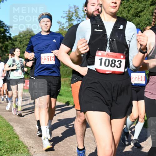 27.09.2026 - 35. Volkslauf durch das schöne Alstertal Dr. Thomas Lammeyer http://msf.ph/oto/10563581 27.09.2026 10:27:16 Laufen 2316, 1083, 2250, 2427 meine-sportfotos.de