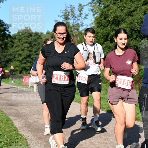 27.09.2026 - 35. Volkslauf durch das schöne Alstertal Dr. Thomas Lammeyer http://msf.ph/oto/10563660 27.09.2026 10:27:28 Laufen  meine-sportfotos.de