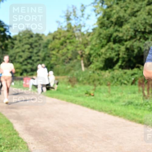 27.09.2026 - 35. Volkslauf durch das schöne Alstertal Dr. Thomas Lammeyer http://msf.ph/oto/10563675 27.09.2026 10:27:30 Laufen  meine-sportfotos.de