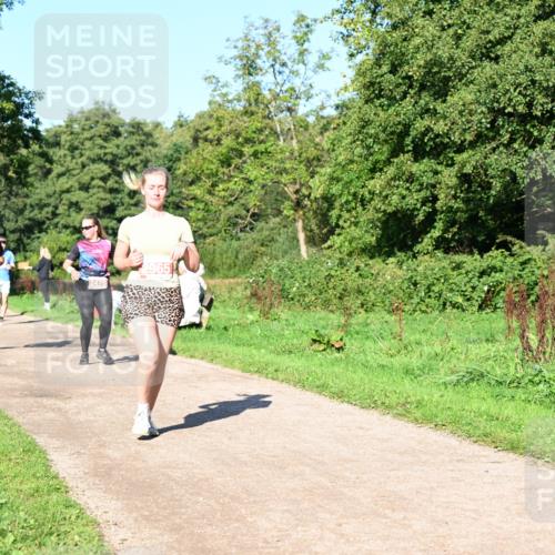 27.09.2026 - 35. Volkslauf durch das schöne Alstertal Dr. Thomas Lammeyer http://msf.ph/oto/10563678 27.09.2026 10:27:32 Laufen 2475, 2965 meine-sportfotos.de