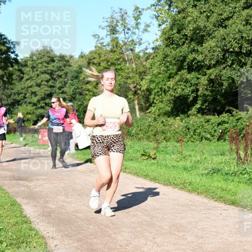 27.09.2026 - 35. Volkslauf durch das schöne Alstertal Dr. Thomas Lammeyer http://msf.ph/oto/10563683 27.09.2026 10:27:33 Laufen 2965, 2475 meine-sportfotos.de