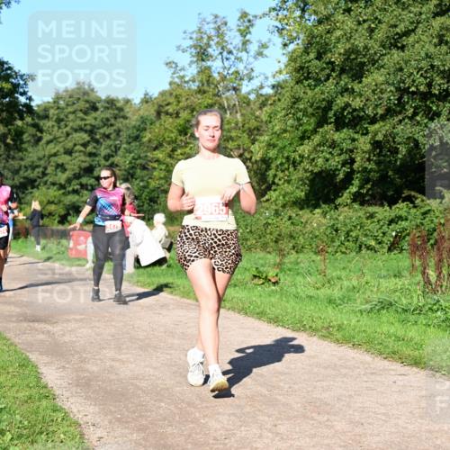 27.09.2026 - 35. Volkslauf durch das schöne Alstertal Dr. Thomas Lammeyer http://msf.ph/oto/10563684 27.09.2026 10:27:33 Laufen 2479, 2965, 7424 meine-sportfotos.de