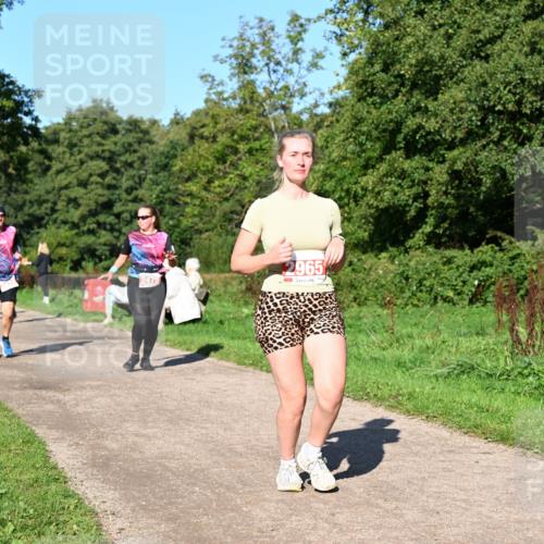 27.09.2026 - 35. Volkslauf durch das schöne Alstertal Dr. Thomas Lammeyer http://msf.ph/oto/10563686 27.09.2026 10:27:33 Laufen 2475, 2965 meine-sportfotos.de