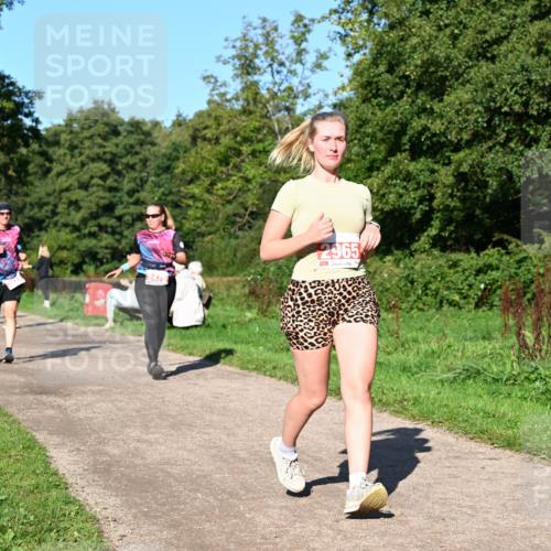 27.09.2026 - 35. Volkslauf durch das schöne Alstertal Dr. Thomas Lammeyer http://msf.ph/oto/10563687 27.09.2026 10:27:33 Laufen 2475, 2965 meine-sportfotos.de