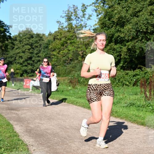 27.09.2026 - 35. Volkslauf durch das schöne Alstertal Dr. Thomas Lammeyer http://msf.ph/oto/10563688 27.09.2026 10:27:33 Laufen 2965 meine-sportfotos.de