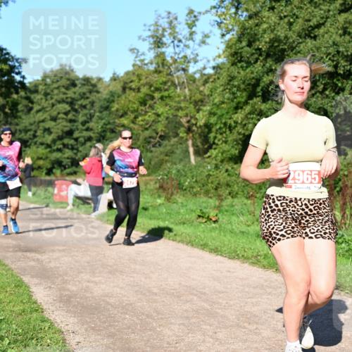 27.09.2026 - 35. Volkslauf durch das schöne Alstertal Dr. Thomas Lammeyer http://msf.ph/oto/10563691 27.09.2026 10:27:34 Laufen 2475, 2965 meine-sportfotos.de