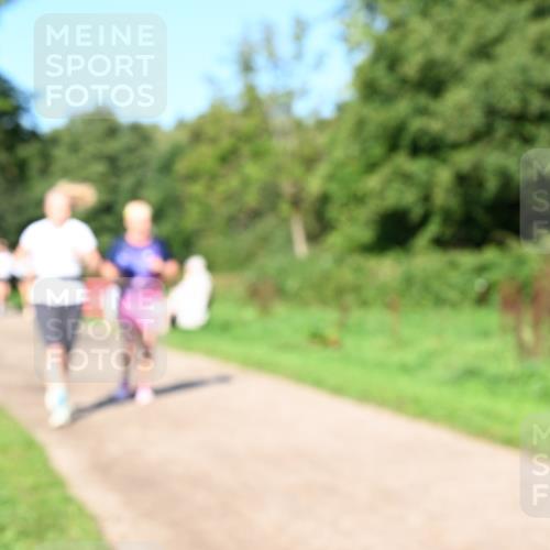 27.09.2026 - 35. Volkslauf durch das schöne Alstertal Dr. Thomas Lammeyer http://msf.ph/oto/10563769 27.09.2026 10:27:46 Laufen  meine-sportfotos.de