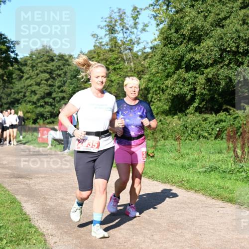 27.09.2026 - 35. Volkslauf durch das schöne Alstertal Dr. Thomas Lammeyer http://msf.ph/oto/10563780 27.09.2026 10:27:48 Laufen 135 meine-sportfotos.de