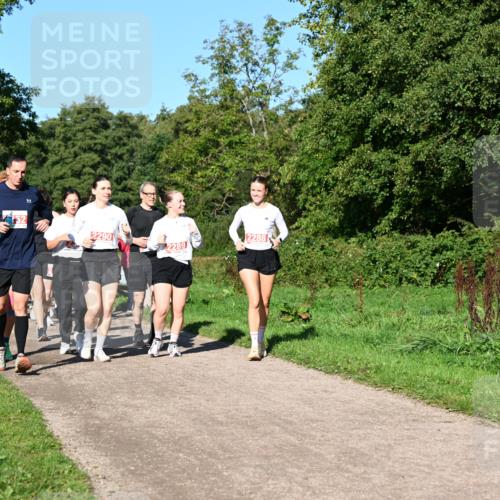 27.09.2026 - 35. Volkslauf durch das schöne Alstertal Dr. Thomas Lammeyer http://msf.ph/oto/10563792 27.09.2026 10:27:57 Laufen 2290, 2288, 2289 meine-sportfotos.de