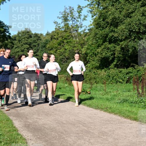 27.09.2026 - 35. Volkslauf durch das schöne Alstertal Dr. Thomas Lammeyer http://msf.ph/oto/10563793 27.09.2026 10:27:57 Laufen  meine-sportfotos.de