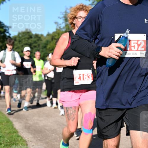 27.09.2026 - 35. Volkslauf durch das schöne Alstertal Dr. Thomas Lammeyer http://msf.ph/oto/10563820 27.09.2026 10:28:02 Laufen 2163, 52, 09 meine-sportfotos.de