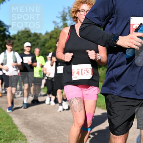 27.09.2026 - 35. Volkslauf durch das schöne Alstertal Dr. Thomas Lammeyer http://msf.ph/oto/10563821 27.09.2026 10:28:02 Laufen 2163, 52, 309 meine-sportfotos.de