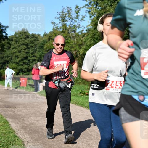 27.09.2026 - 35. Volkslauf durch das schöne Alstertal Dr. Thomas Lammeyer http://msf.ph/oto/10563873 27.09.2026 10:28:10 Laufen 239, 2453, 2006 meine-sportfotos.de