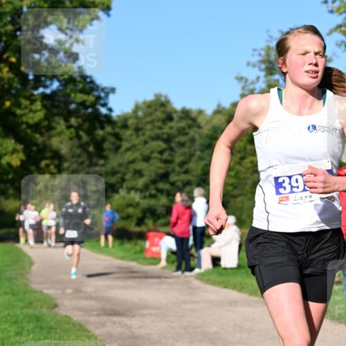27.09.2026 - 35. Volkslauf durch das schöne Alstertal Dr. Thomas Lammeyer http://msf.ph/oto/10563971 27.09.2026 10:33:52 Laufen 39 meine-sportfotos.de